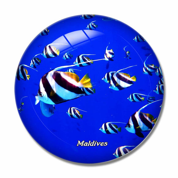 Maldives Fish 3D Fridge Magnet Crystal Glass