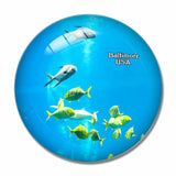 USA America Aquarium Baltimore 3D Fridge Magnet Crystal Glass