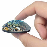 Belize Hol Chan Marine Reserve San Pedro 3D Fridge Magnet Crystal Glass