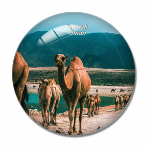 Oman Salalah Camel 3D Fridge Magnet Crystal Glass