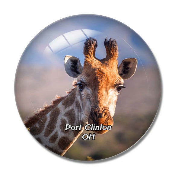 Port Clinton Wildlife Park Ohio USA 3D Fridge Magnet Crystal Glass