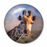 Port Clinton Wildlife Park Ohio USA 3D Fridge Magnet Crystal Glass