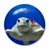 USA America Boca Raton Turtle Gumbo Limbo Nature Center 3D Fridge Magnet Crystal Glass