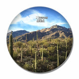 USA America Arizona-Sonora Desert Museum Tucson 3D Fridge Magnet Crystal Glass