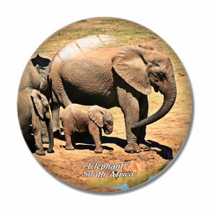 South Africa Elephant 3D Fridge Magnet Crystal Glass