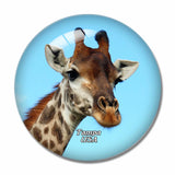 USA America Busch Gardens Tampa 3D Fridge Magnet Crystal Glass