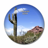 USA America Desert Botanical Garden Phoenix 3D Fridge Magnet Crystal Glass
