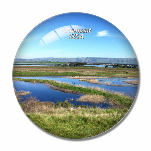 USA America Fremont Park 3D Fridge Magnet Crystal Glass