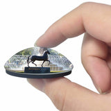 America USA Santa Anita Race Park Arcadia 3D Fridge Magnet Crystal Glass