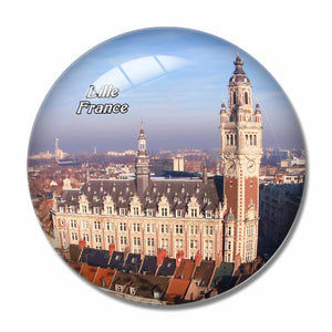 France Grande Place Lille 3D Fridge Magnet Crystal Glass