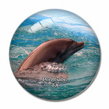 Port Isabel Dolphin Texas USA 3D Fridge Magnet Crystal Glass