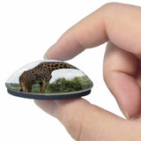 Giraffe Arusha Tanzania 3D Fridge Magnet Crystal Glass