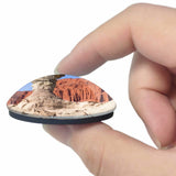 Valley Of The Moon San Juan Argentina 3D Fridge Magnet Crystal Glass