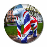 UK England Bristol The Statue Of Gorilla 3D Fridge Magnet Crystal Glass