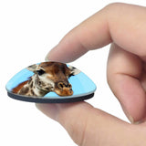 USA America Busch Gardens Tampa 3D Fridge Magnet Crystal Glass