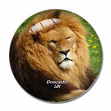 UK England Yorkshire Wildlife Park Doncaster 3D Fridge Magnet Crystal Glass