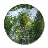 USA America Prattville Wilderness Park 3D Fridge Magnet Crystal Glass