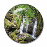 USA America Bellingham Whatcom Falls Park 3D Fridge Magnet Crystal Glass