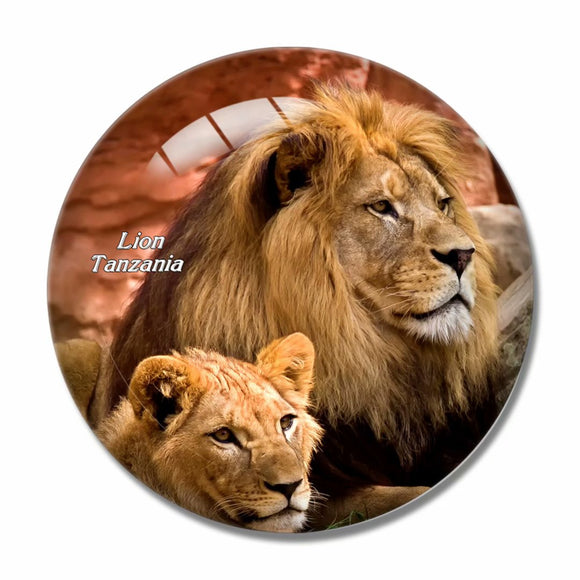 Tanzania Lion Wildlife 3D Fridge Magnet Crystal Glass