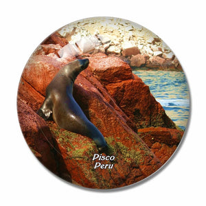 Sea Lions Pisco Islands Peru 3D Fridge Magnet Crystal Glass