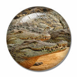 Morocco Crocoparc Agadir 3D Fridge Magnet Crystal Glass