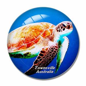 Australia Reef HQ Great Barrier Reef AquariumTownsville 3D Fridge Magnet Crystal Glass