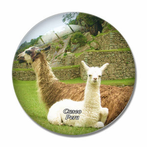 Alpaca Machu Picchu Cusco Peru 3D Fridge Magnet Crystal Glass