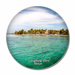 Belize Laughing Bird 3D Fridge Magnet Crystal Glass