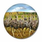 South Africa Bird Ostrich 3D Fridge Magnet Crystal Glass