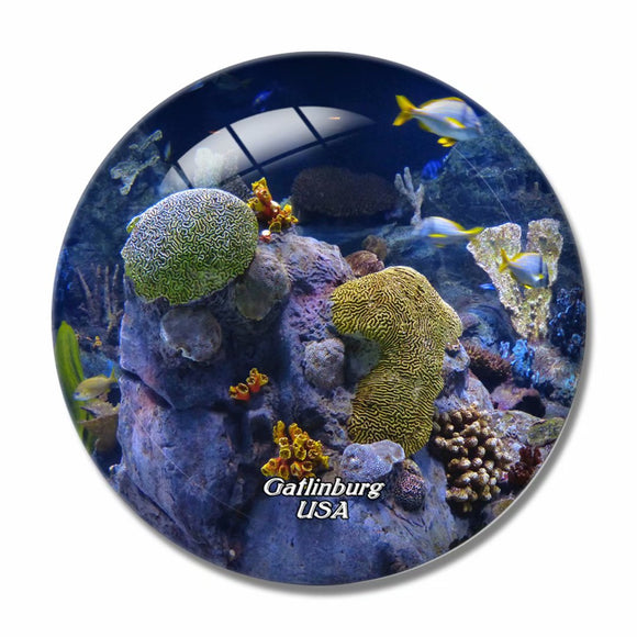 USA America Gatlinburg Ripley's Aquarium of the Smokies 3D Fridge Magnet Crystal Glass
