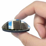 USA America Albany 3D Fridge Magnet Crystal Glass