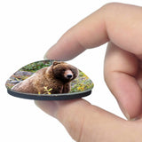 USA America Anchorage Alaska Wildlife 3D Fridge Magnet Crystal Glass