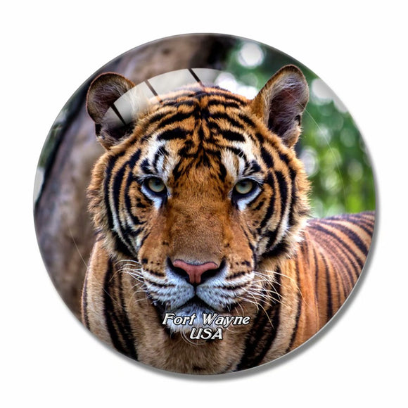 USA America Fort Wayne Zoo 3D Fridge Magnet Crystal Glass