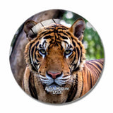 USA America Fort Wayne Zoo 3D Fridge Magnet Crystal Glass