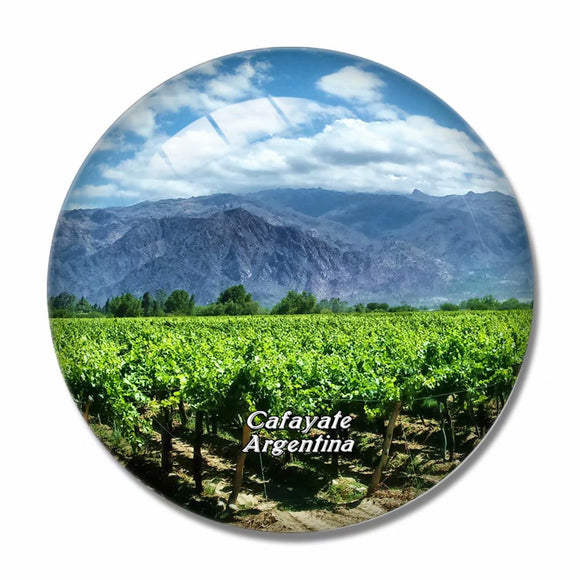 Vineyards Cafayate Salta Argentina 3D Fridge Magnet Crystal Glass