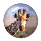 USA America Melbourne Brevard Zoo 3D Fridge Magnet Crystal Glass