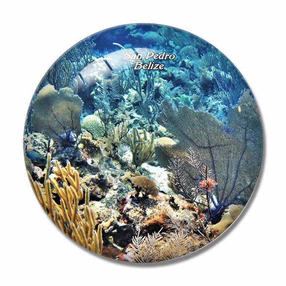 Belize Hol Chan Marine Reserve San Pedro 3D Fridge Magnet Crystal Glass