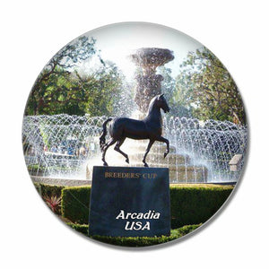 America USA Santa Anita Race Park Arcadia 3D Fridge Magnet Crystal Glass