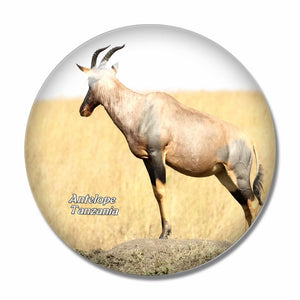 Tanzania Antelope 3D Fridge Magnet Crystal Glass