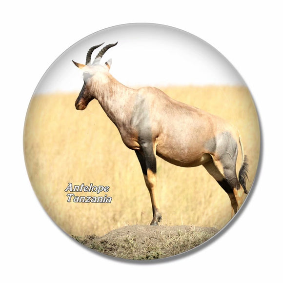 Tanzania Antelope 3D Fridge Magnet Crystal Glass