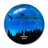 Churaumi Aquarium Okinawa Japan 3D Fridge Magnet Crystal Glass