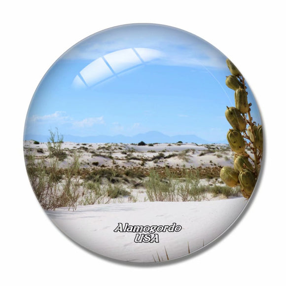 America USA Desert Alamogordo 3D Fridge Magnet Crystal Glass