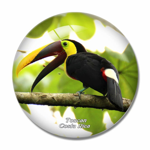 Costa Rica Toucan 3D Fridge Magnet Crystal Glass