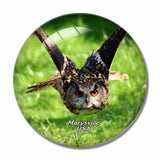 USA America Marysville Owl West Coast Falconry 3D Fridge Magnet Crystal Glass