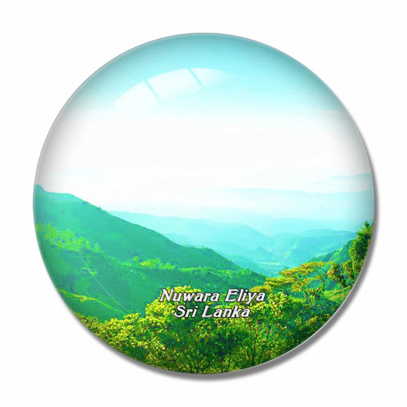 Sri Lanka Hortons Plains National Park Nuwara Eliya 3D Fridge Magnet Crystal Glass