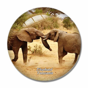 Tanzania Elephant 3D Fridge Magnet Crystal Glass