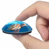 Belize Ambergris Turtle 3D Fridge Magnet Crystal Glass