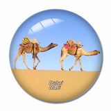 UAE Desert Camel Dubai 3D Fridge Magnet Crystal Glass