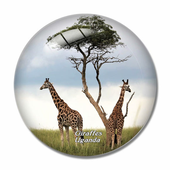 Uganda Giraffes 3D Fridge Magnet Crystal Glass