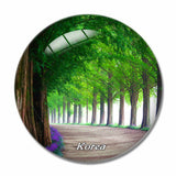 Korea Park Tree 3D Fridge Magnet Crystal Glass